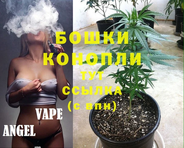 гидра Баксан